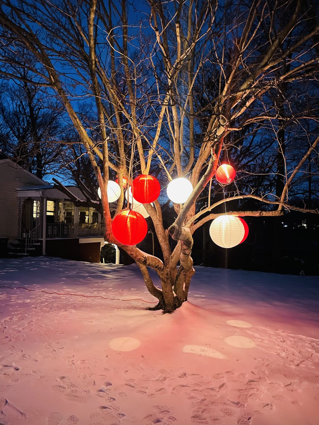 Customer photo review of 20" Red Shimmering Nylon Lantern, Even Ribbing, Durable, Hanging