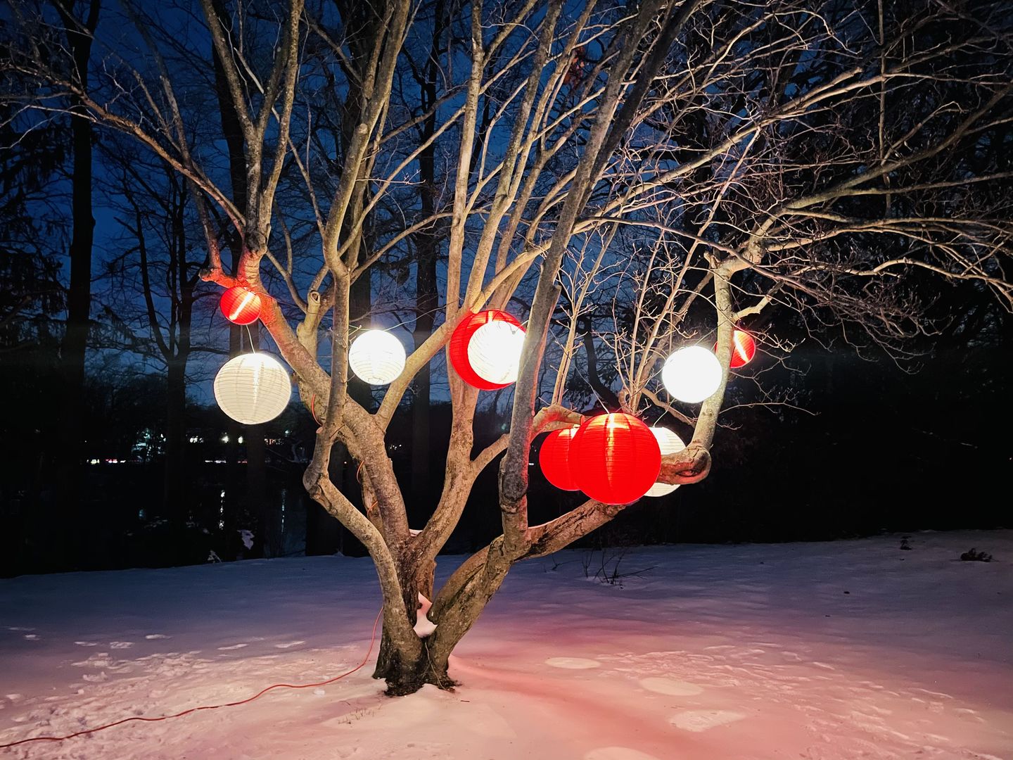 Customer photo review of 10" Red Shimmering Nylon Lantern, Even Ribbing, Durable, Hanging
