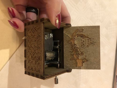 Customer photo review of Totoro