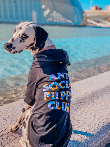 Customer photo review of Anti Social Dog Hoodie - Black
