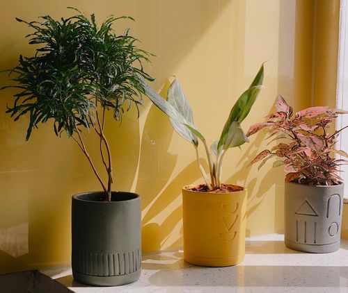 Customer photo review of Carved Planter (SET OF 4)