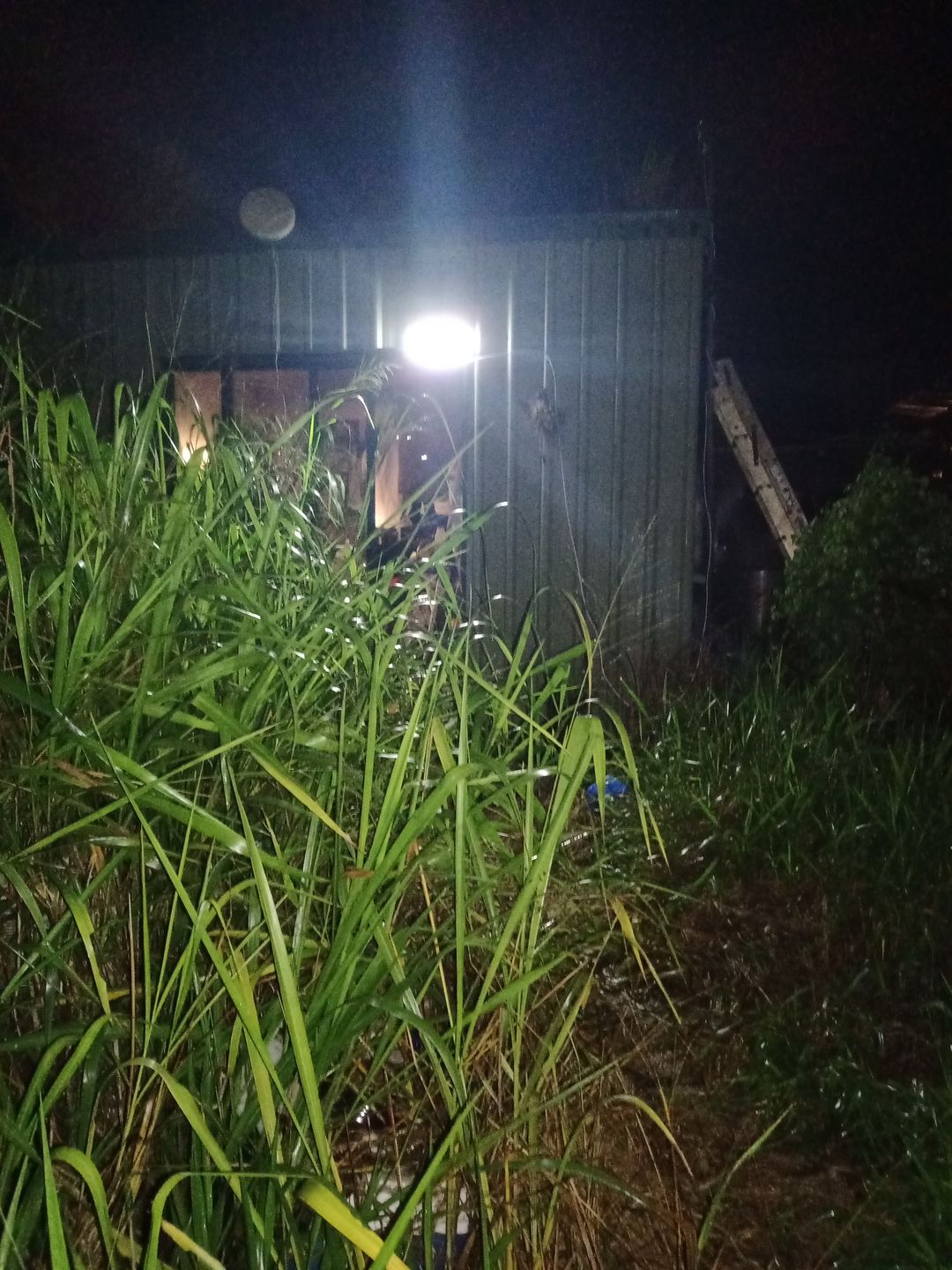 Customer photo review of 118 LED Solar Light 1000 Lumens