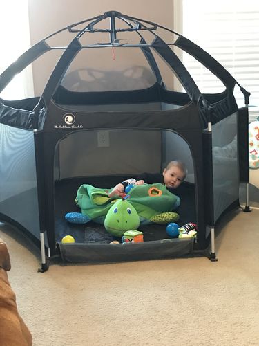 Customer photo review of Pop N' Go® Mattress Cover
