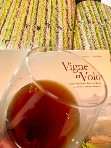Customer photo review of Vigne in Volo (edizione 2020)  I vigneti di Langhe, Monferrato e Roero   visti dal cielo