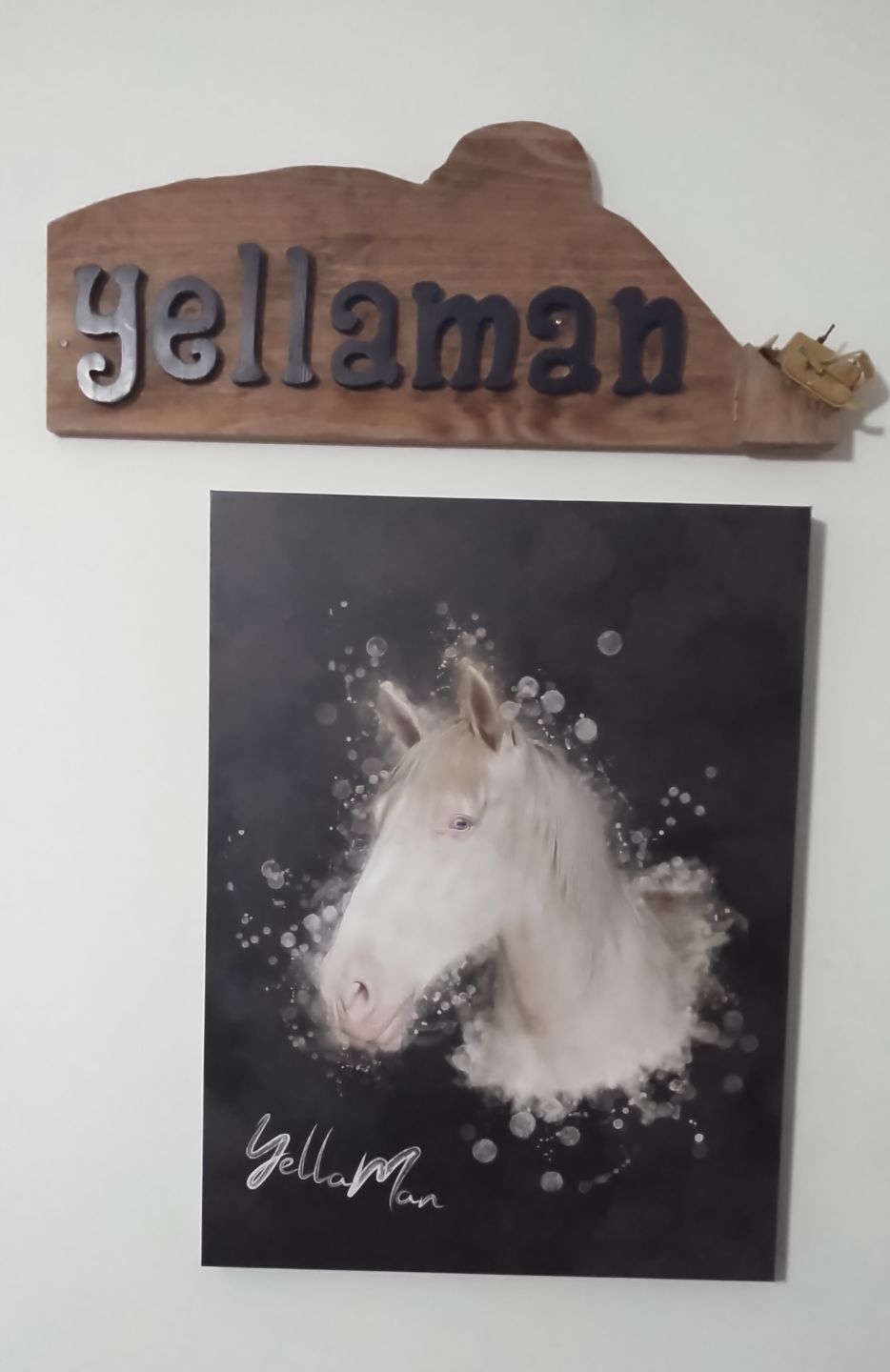 Customer photo review of Personalized Horse portrait