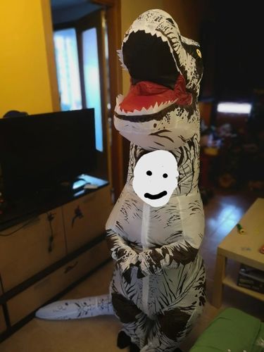 Customer photo review of Deguisement Dinosaure Gonflable T-Rex Gris
