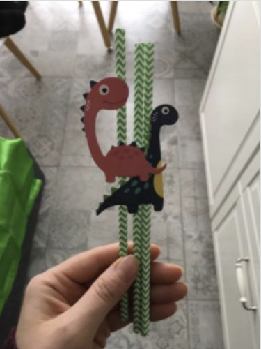 Customer photo review of Déco Anniversaire Dinosaure Pailles (x36)