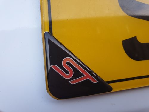 Customer photo review of Domed Number Plate Badges