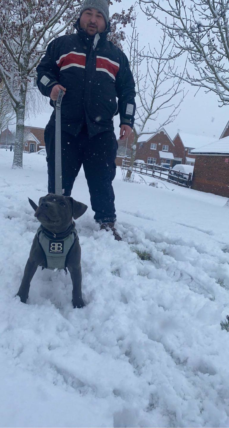 Customer photo review of Nylon Snap Hook Lead | Series 2 - Metal Grey