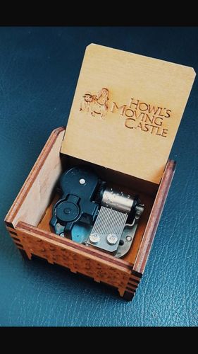Customer photo review of Howl's Moving Castle