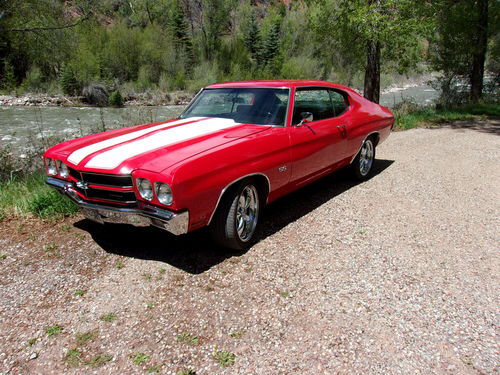 Customer photo review of Custom Car Portrait