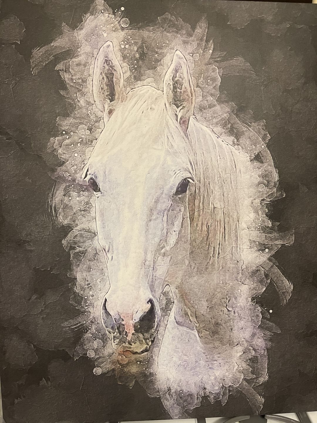 Customer photo review of Personalized Horse portrait