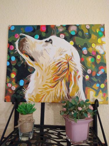 Customer photo review of Malen nach Zahlen - Hund vor Lichterkette