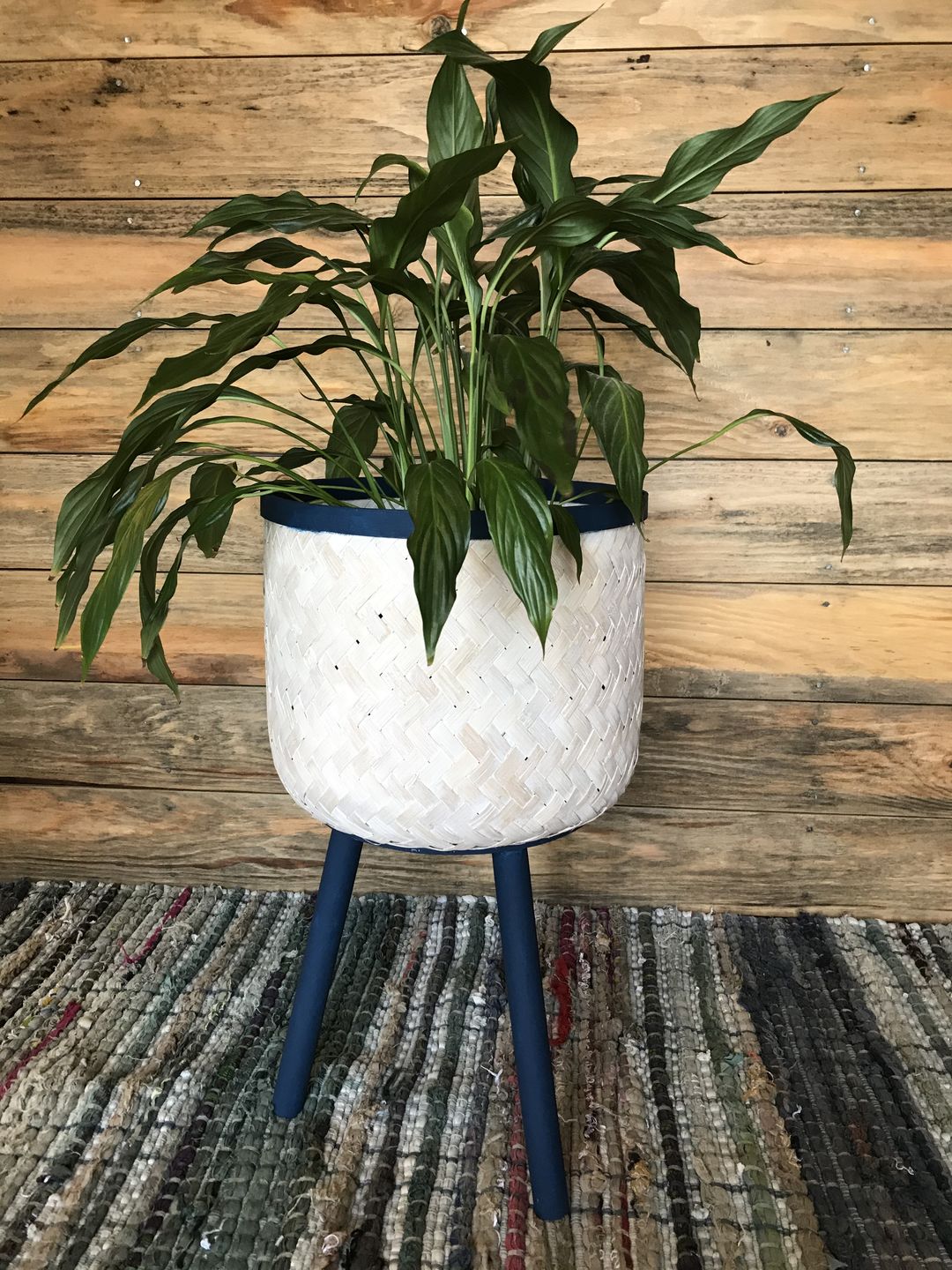 Customer photo review of Lady Singing the Blues - One Step Paint