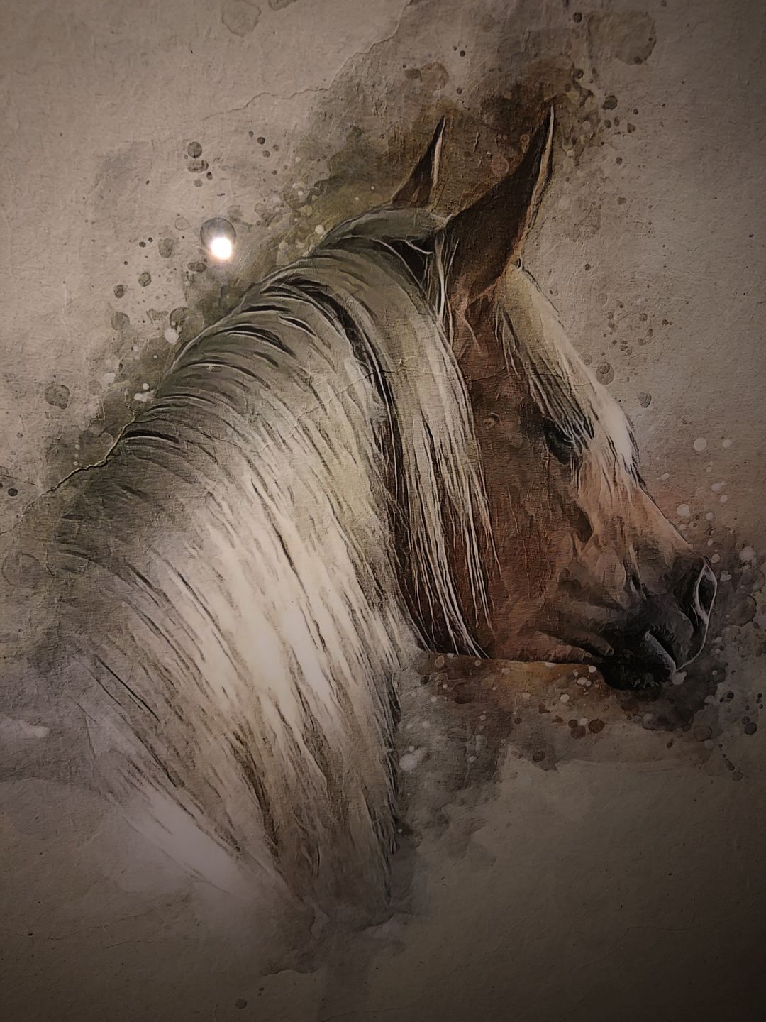 Customer photo review of Personalized Horse portrait