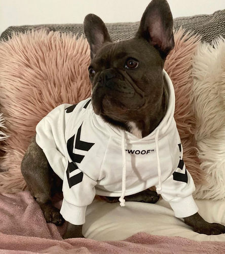 Customer photo review of "WOOF" Dog Hoodie - Black & Reflective