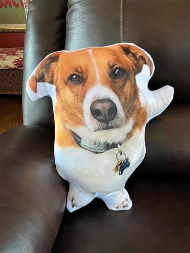 Customer photo review of Create A Custom Object Pillow