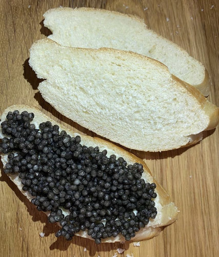 Customer photo review of "Russian Czar" Beluga Hybrid Sturgeon Caviar