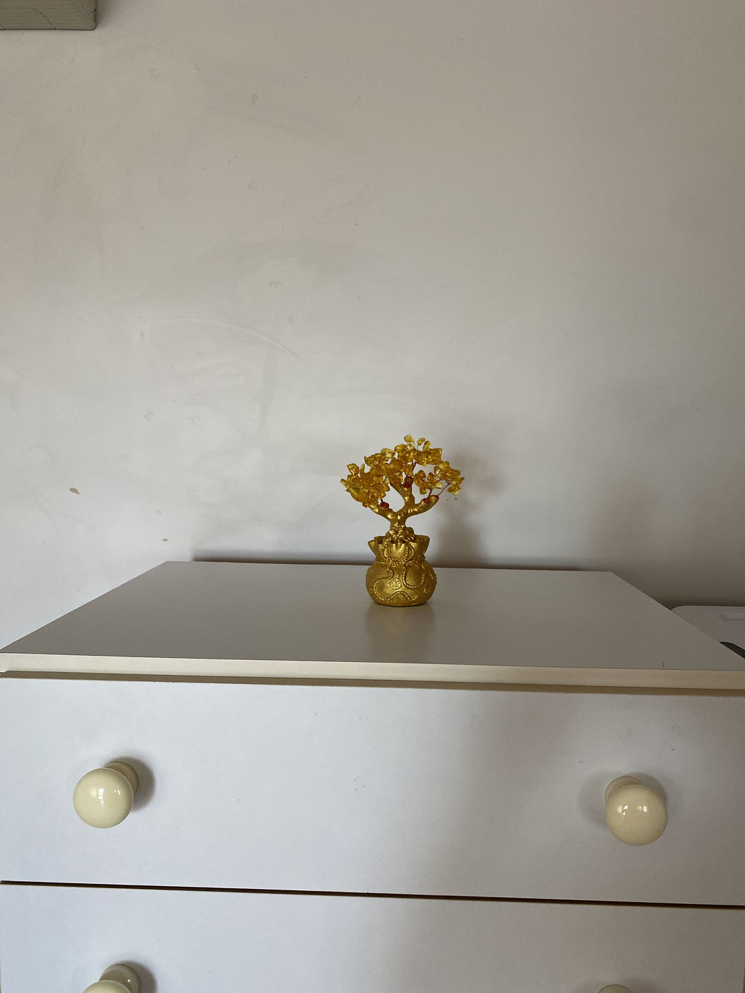 Customer photo review of Feng Shui Citrine Money Tree Wealth Ornaments