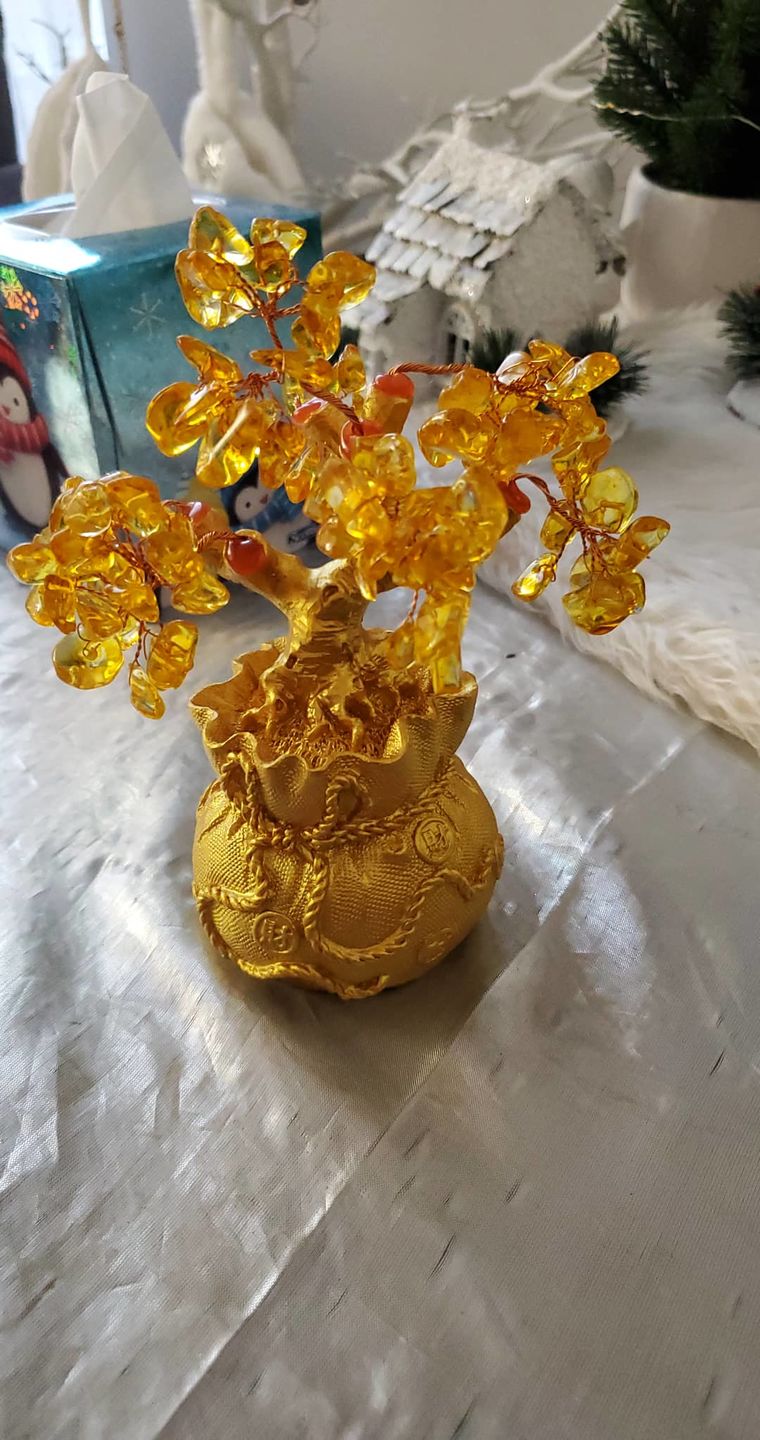 Customer photo review of Feng Shui Citrine Money Tree Wealth Ornaments