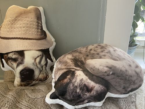 Customer photo review of Personalisiertes Hundekissen™