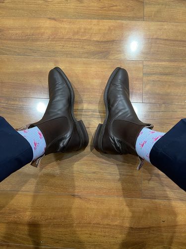Customer photo review of Dachie and Flamingo Socks Box