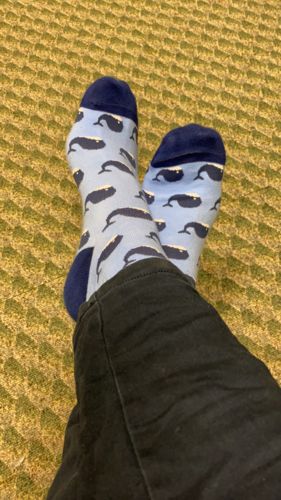 Customer photo review of Pale Blue Whales