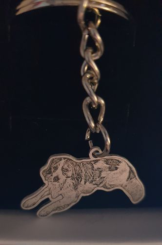 Customer photo review of Porte-clés Personnalisé en Argent