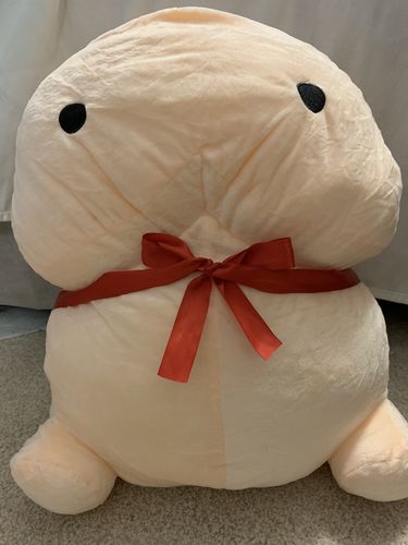 Customer photo review of PeePee Pillow