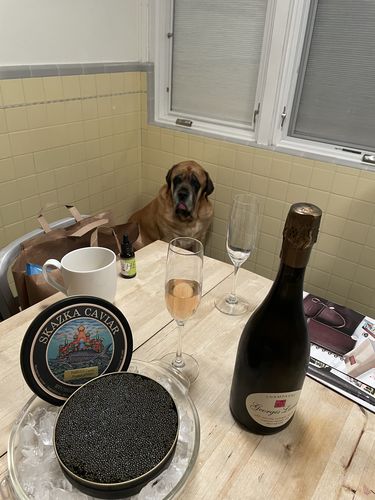 Customer photo review of “Wild Caught” American Paddlefish Caviar