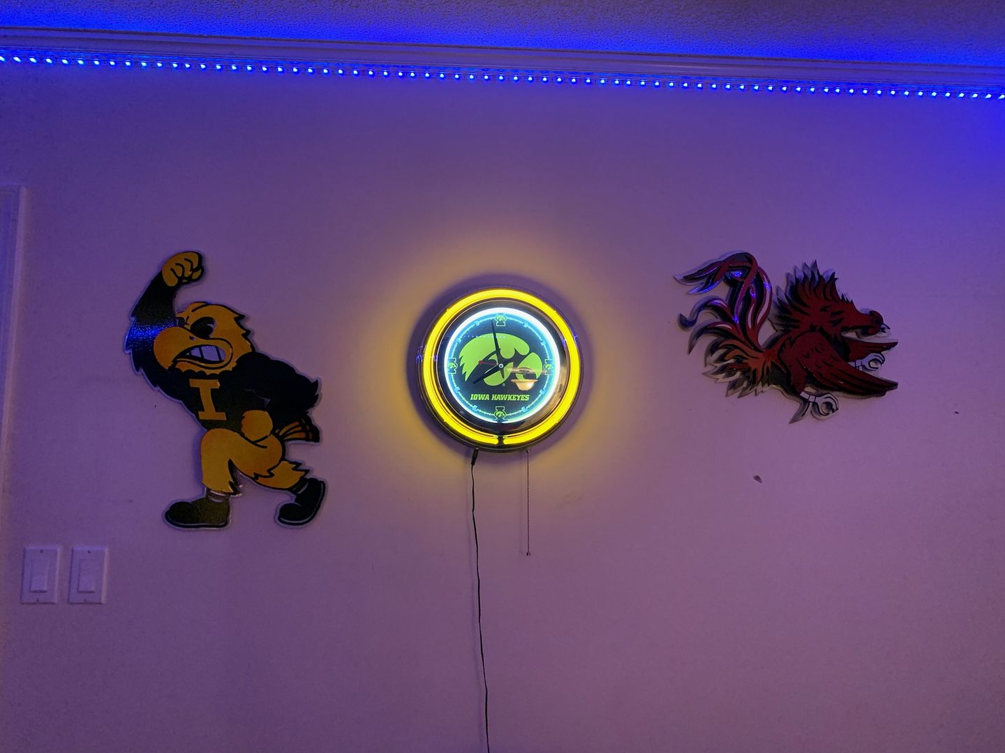 Customer photo review of University of Iowa Mascot HERKY 3D Metal Art 23" x 18"