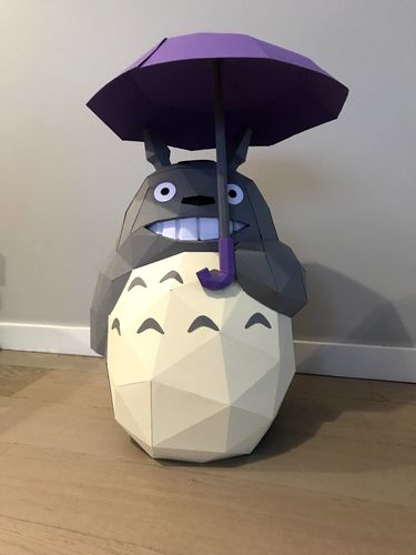 Customer photo review of Totoro