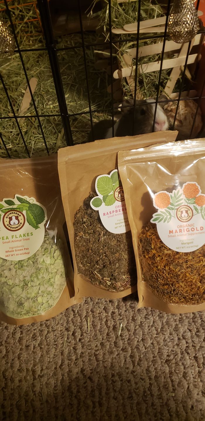 Customer photo review of GuineaDad Nourish Series - Herbal Supplement