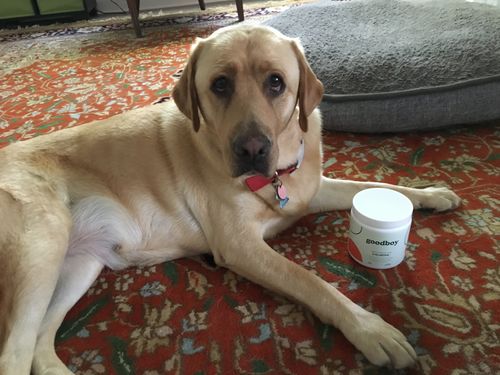 Customer photo review of The Chill Champion