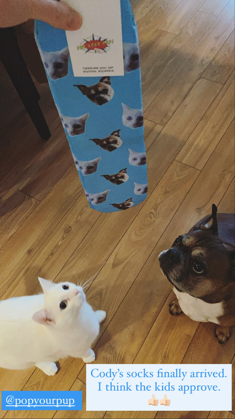 Customer photo review of Custom Pet Art Socks