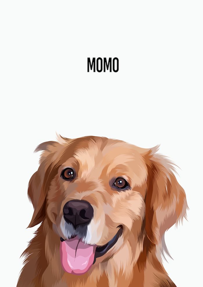 Customer photo review of Custom Pet Portrait (Digital Copy)