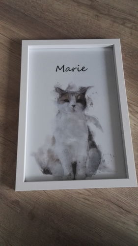 Customer photo review of Individuelles Haustierporträt - Posterdruck