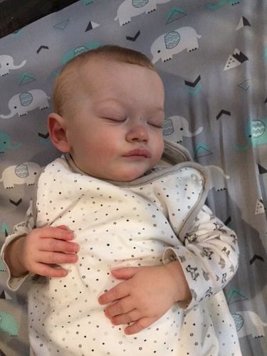 the nested bean reviews