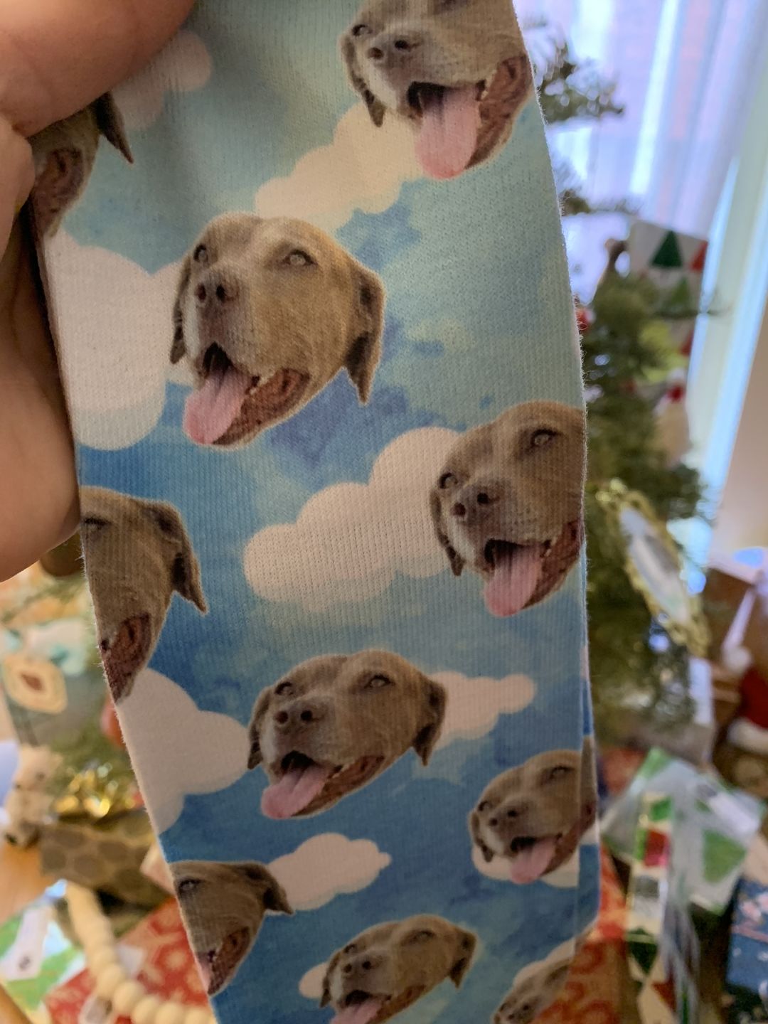 Customer photo review of Custom Pet Art Socks