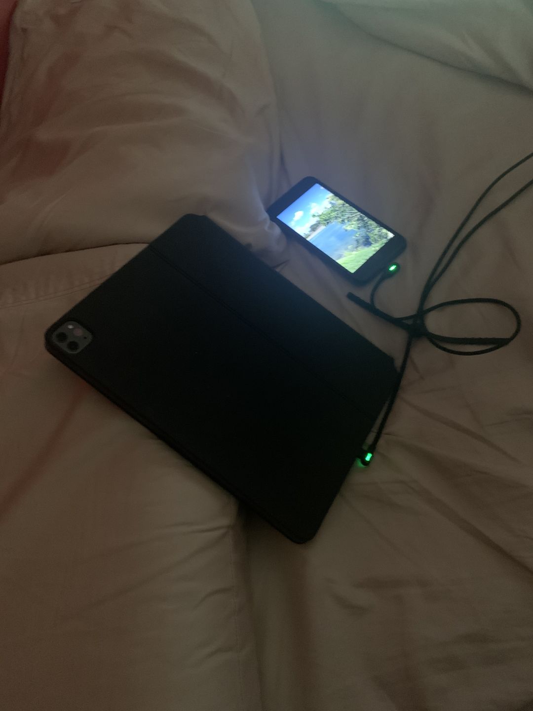 Customer photo review of Titan Smart Cable™ (3-Pack)