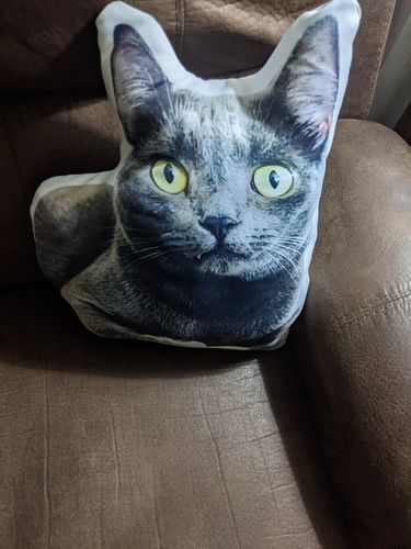 Customer photo review of Create A Custom Object Pillow