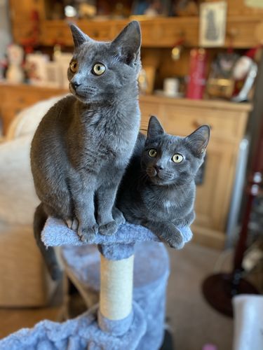 Customer photo review of Sustainable Litter