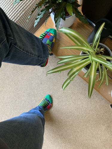 Customer photo review of The Wukuada collection