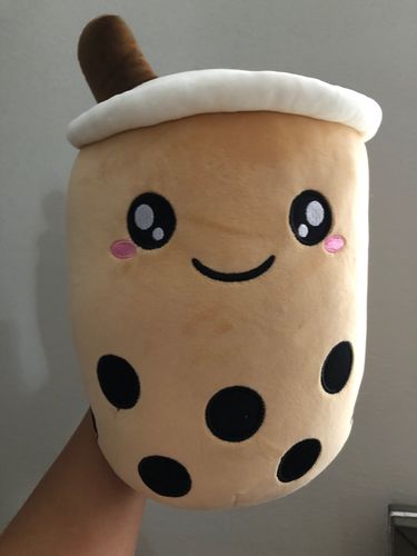 Customer photo review of Bubble Tea Plush Pillow