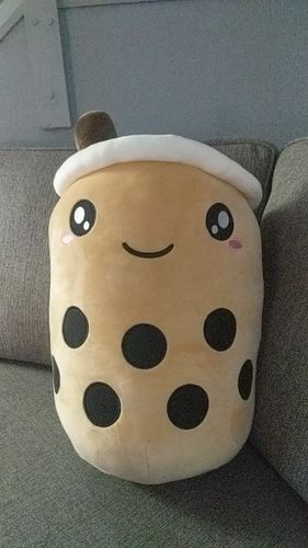Customer photo review of Bubble Tea Plush Pillow