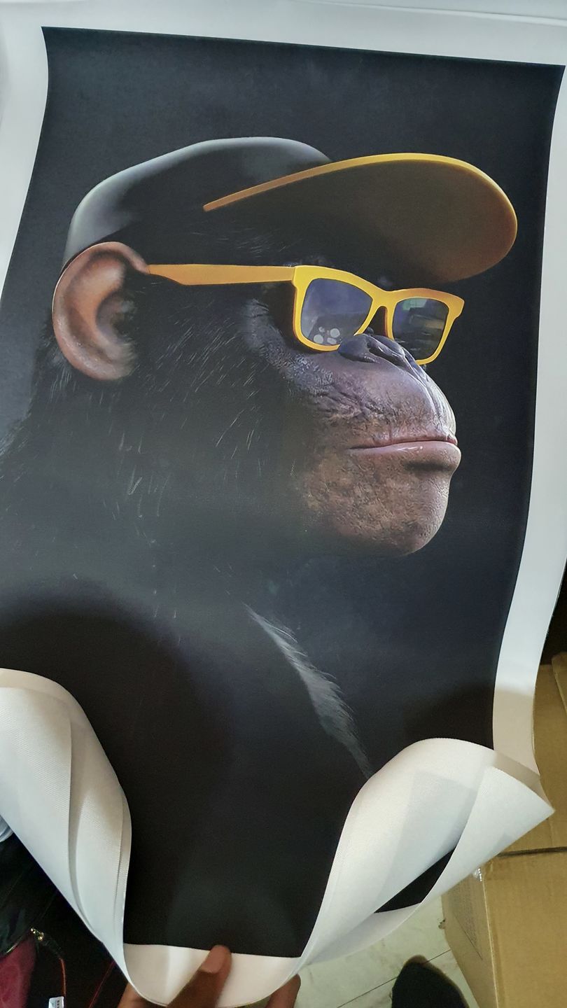 Customer photo review of Toile - 3 Monkeys