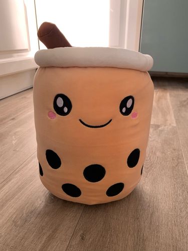 Customer photo review of Bubble Tea Plush Pillow