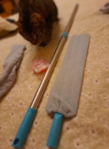 Customer photo review of Retractable Gap Dust Cleaning