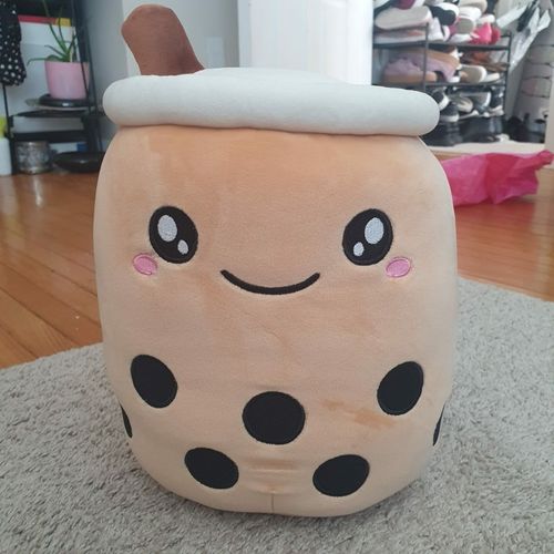 Customer photo review of Bubble Tea Plush Pillow