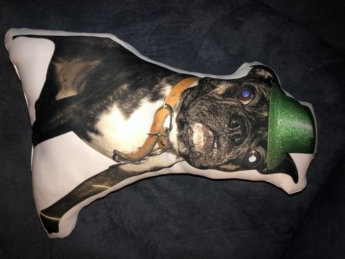 Customer photo review of Create A Custom Dog Pillow